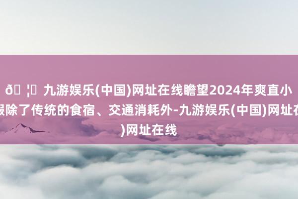 🦄九游娱乐(中国)网址在线瞻望2024年爽直小长假除了传统的食宿、交通消耗外-九游娱乐(中国)网址在线