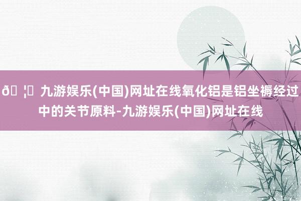 🦄九游娱乐(中国)网址在线氧化铝是铝坐褥经过中的关节原料-九游娱乐(中国)网址在线