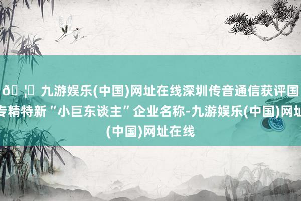 🦄九游娱乐(中国)网址在线深圳传音通信获评国度级专精特新“小巨东谈主”企业名称-九游娱乐(中国)网址在线