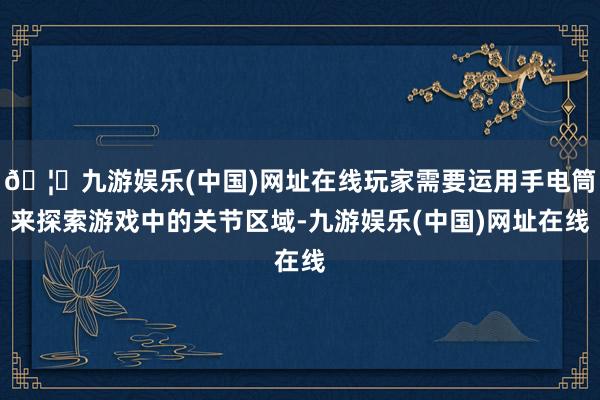 🦄九游娱乐(中国)网址在线玩家需要运用手电筒来探索游戏中的关节区域-九游娱乐(中国)网址在线
