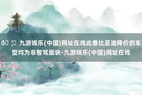 🦄九游娱乐(中国)网址在线此番比亚迪降价的车型均为非智驾版块-九游娱乐(中国)网址在线
