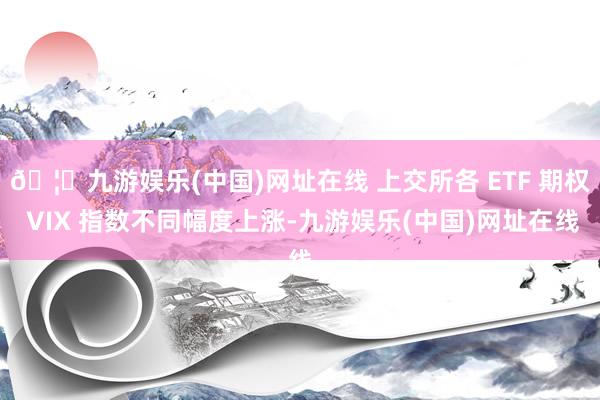 🦄九游娱乐(中国)网址在线 上交所各 ETF 期权 VIX 指数不同幅度上涨-九游娱乐(中国)网址在线