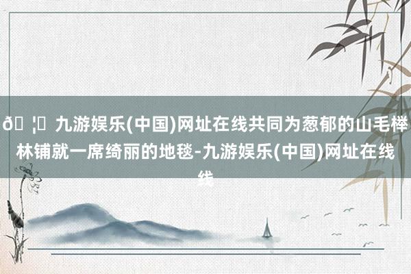 🦄九游娱乐(中国)网址在线共同为葱郁的山毛榉林铺就一席绮丽的地毯-九游娱乐(中国)网址在线