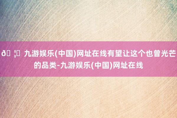 🦄九游娱乐(中国)网址在线有望让这个也曾光芒的品类-九游娱乐(中国)网址在线
