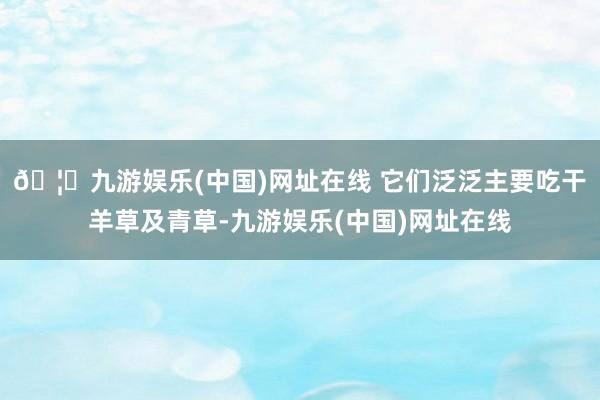 🦄九游娱乐(中国)网址在线 　　它们泛泛主要吃干羊草及青草-九游娱乐(中国)网址在线