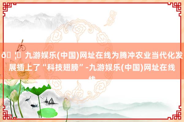 🦄九游娱乐(中国)网址在线为腾冲农业当代化发展插上了“科技翅膀”-九游娱乐(中国)网址在线