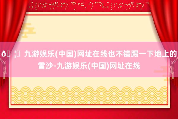 🦄九游娱乐(中国)网址在线也不错踢一下地上的雪沙-九游娱乐(中国)网址在线