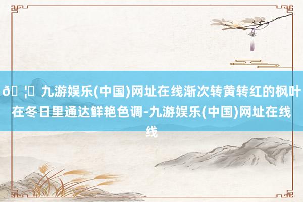 🦄九游娱乐(中国)网址在线渐次转黄转红的枫叶在冬日里通达鲜艳色调-九游娱乐(中国)网址在线