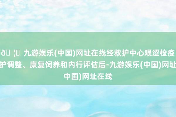 🦄九游娱乐(中国)网址在线经救护中心艰涩检疫、救护调整、康复饲养和内行评估后-九游娱乐(中国)网址在线