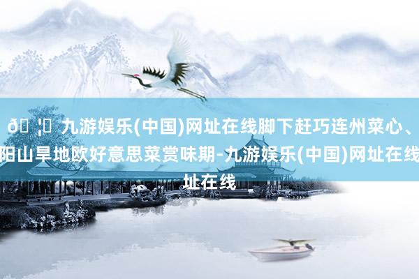 🦄九游娱乐(中国)网址在线脚下赶巧连州菜心、阳山旱地欧好意思菜赏味期-九游娱乐(中国)网址在线