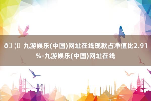 🦄九游娱乐(中国)网址在线现款占净值比2.91%-九游娱乐(中国)网址在线