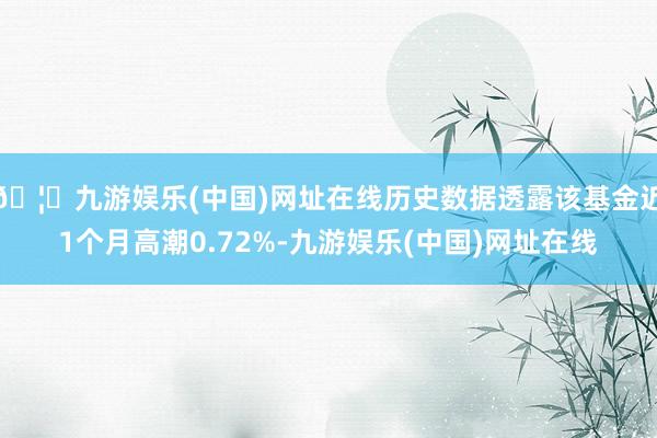 🦄九游娱乐(中国)网址在线历史数据透露该基金近1个月高潮0.72%-九游娱乐(中国)网址在线