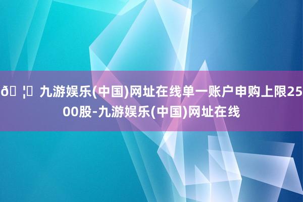 🦄九游娱乐(中国)网址在线单一账户申购上限2500股-九游娱乐(中国)网址在线
