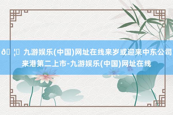 🦄九游娱乐(中国)网址在线来岁或迎来中东公司来港第二上市-九游娱乐(中国)网址在线