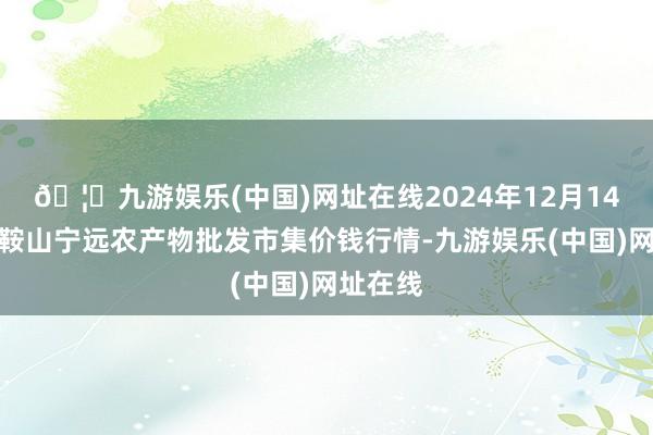 🦄九游娱乐(中国)网址在线2024年12月14日辽宁鞍山宁远农产物批发市集价钱行情-九游娱乐(中国)网址在线