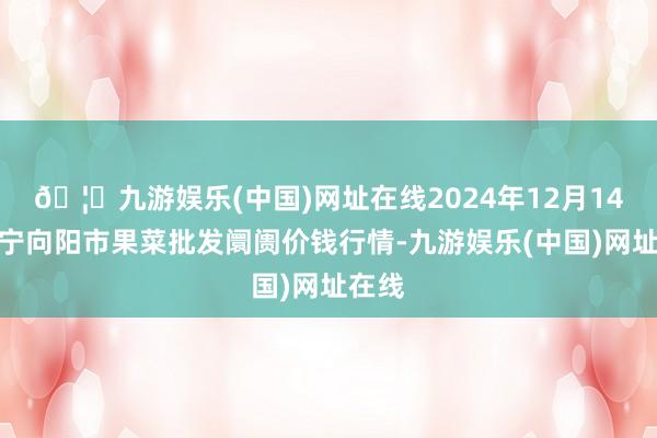 🦄九游娱乐(中国)网址在线2024年12月14日辽宁向阳市果菜批发阛阓价钱行情-九游娱乐(中国)网址在线