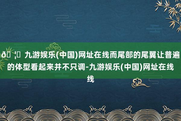 🦄九游娱乐(中国)网址在线而尾部的尾翼让普遍的体型看起来并不只调-九游娱乐(中国)网址在线