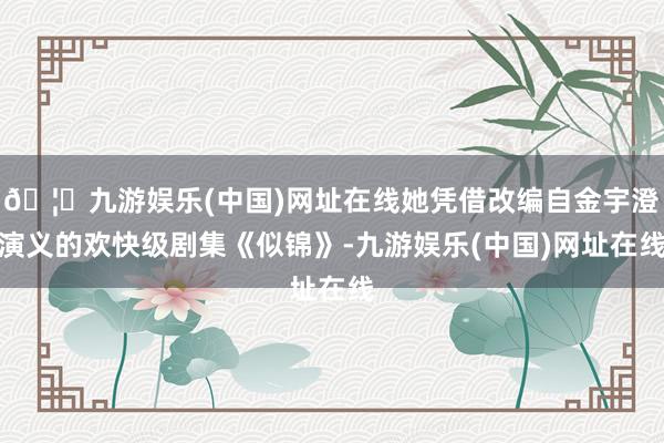 🦄九游娱乐(中国)网址在线她凭借改编自金宇澄演义的欢快级剧集《似锦》-九游娱乐(中国)网址在线