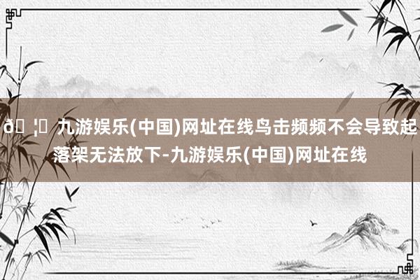 🦄九游娱乐(中国)网址在线鸟击频频不会导致起落架无法放下-九游娱乐(中国)网址在线