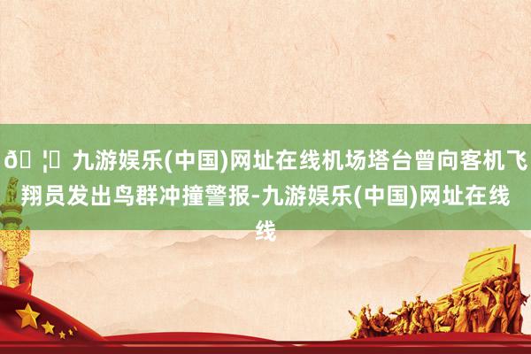 🦄九游娱乐(中国)网址在线机场塔台曾向客机飞翔员发出鸟群冲撞警报-九游娱乐(中国)网址在线