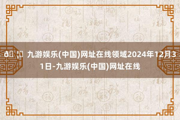 🦄九游娱乐(中国)网址在线领域2024年12月31日-九游娱乐(中国)网址在线