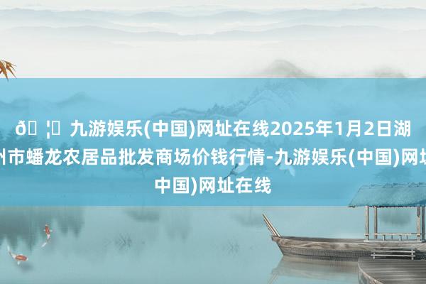 🦄九游娱乐(中国)网址在线2025年1月2日湖北鄂州市蟠龙农居品批发商场价钱行情-九游娱乐(中国)网址在线
