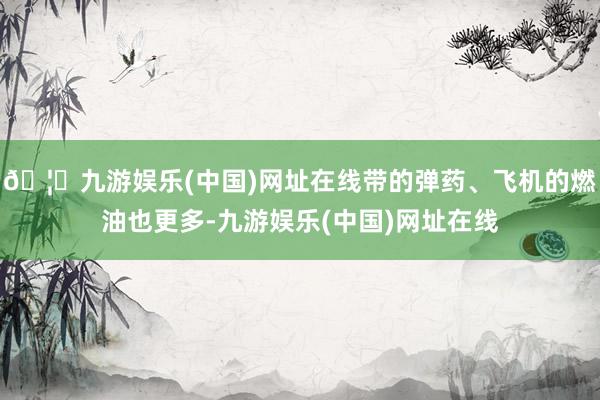 🦄九游娱乐(中国)网址在线带的弹药、飞机的燃油也更多-九游娱乐(中国)网址在线