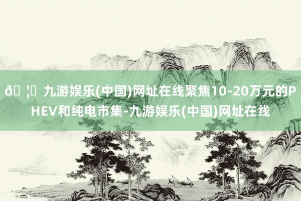 🦄九游娱乐(中国)网址在线聚焦10-20万元的PHEV和纯电市集-九游娱乐(中国)网址在线