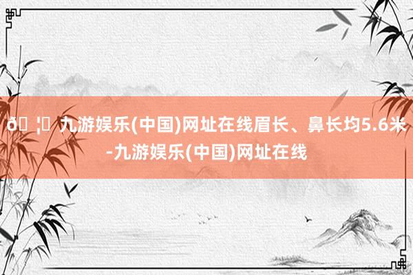 🦄九游娱乐(中国)网址在线眉长、鼻长均5.6米-九游娱乐(中国)网址在线