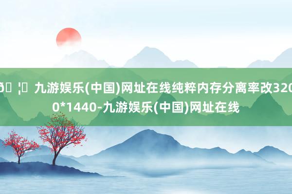 🦄九游娱乐(中国)网址在线纯粹内存分离率改3200*1440-九游娱乐(中国)网址在线