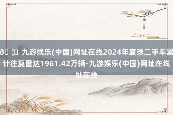 🦄九游娱乐(中国)网址在线2024年寰球二手车累计往复量达1961.42万辆-九游娱乐(中国)网址在线