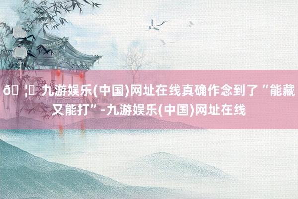 🦄九游娱乐(中国)网址在线真确作念到了“能藏又能打”-九游娱乐(中国)网址在线