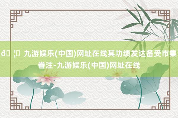 🦄九游娱乐(中国)网址在线其功绩发达备受市集眷注-九游娱乐(中国)网址在线