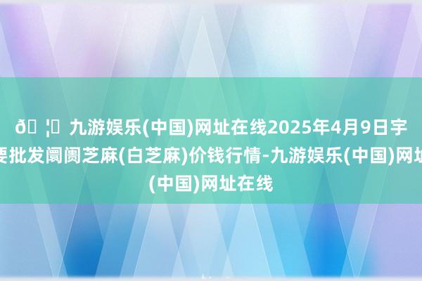 🦄九游娱乐(中国)网址在线2025年4月9日宇宙主要批发阛阓芝麻(白芝麻)价钱行情-九游娱乐(中国)网址在线