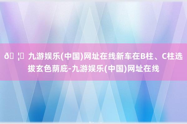 🦄九游娱乐(中国)网址在线新车在B柱、C柱选拔玄色荫庇-九游娱乐(中国)网址在线