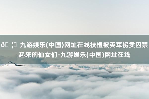 🦄九游娱乐(中国)网址在线扶植被英军拐卖囚禁起来的仙女们-九游娱乐(中国)网址在线
