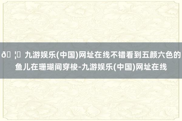 🦄九游娱乐(中国)网址在线不错看到五颜六色的鱼儿在珊瑚间穿梭-九游娱乐(中国)网址在线