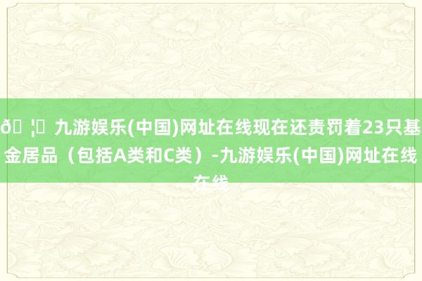 🦄九游娱乐(中国)网址在线现在还责罚着23只基金居品（包括A类和C类）-九游娱乐(中国)网址在线