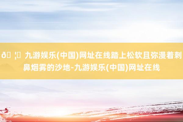 🦄九游娱乐(中国)网址在线踏上松软且弥漫着刺鼻烟雾的沙地-九游娱乐(中国)网址在线