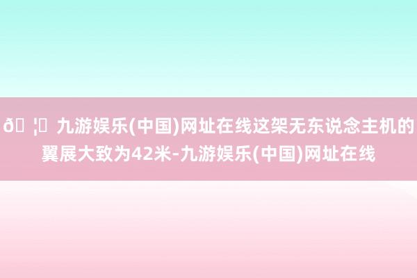 🦄九游娱乐(中国)网址在线这架无东说念主机的翼展大致为42米-九游娱乐(中国)网址在线