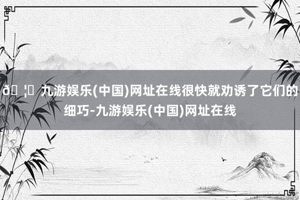 🦄九游娱乐(中国)网址在线很快就劝诱了它们的细巧-九游娱乐(中国)网址在线