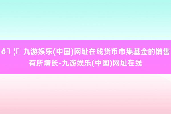 🦄九游娱乐(中国)网址在线货币市集基金的销售有所增长-九游娱乐(中国)网址在线