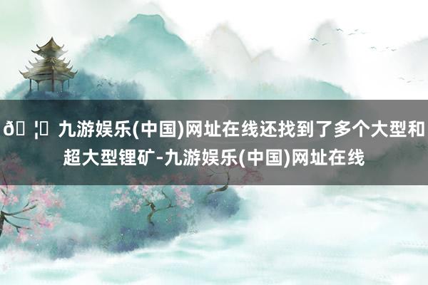 🦄九游娱乐(中国)网址在线还找到了多个大型和超大型锂矿-九游娱乐(中国)网址在线