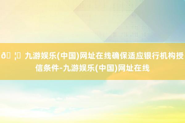 🦄九游娱乐(中国)网址在线确保适应银行机构授信条件-九游娱乐(中国)网址在线