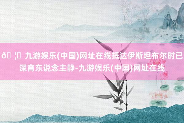 🦄九游娱乐(中国)网址在线抵达伊斯坦布尔时已深宵东说念主静-九游娱乐(中国)网址在线