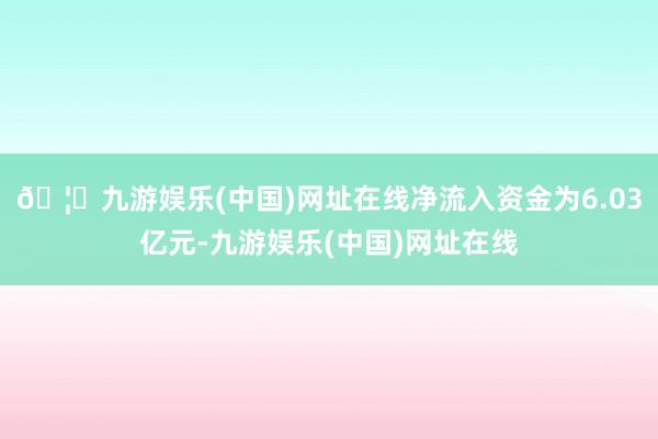 🦄九游娱乐(中国)网址在线净流入资金为6.03亿元-九游娱乐(中国)网址在线