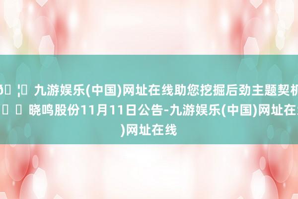 🦄九游娱乐(中国)网址在线助您挖掘后劲主题契机！		晓鸣股份11月11日公告-九游娱乐(中国)网址在线