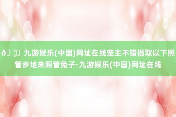 🦄九游娱乐(中国)网址在线宠主不错摄取以下照管步地来照管兔子-九游娱乐(中国)网址在线