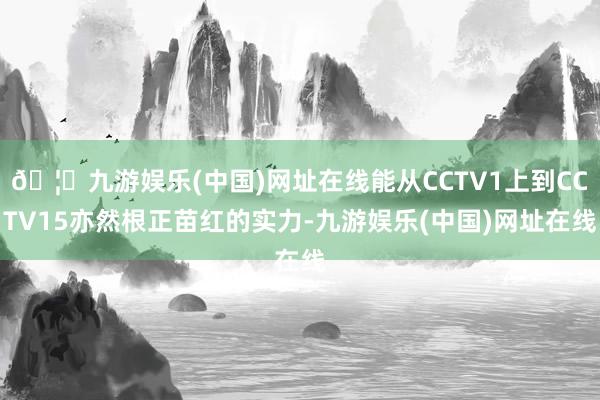 🦄九游娱乐(中国)网址在线能从CCTV1上到CCTV15亦然根正苗红的实力-九游娱乐(中国)网址在线