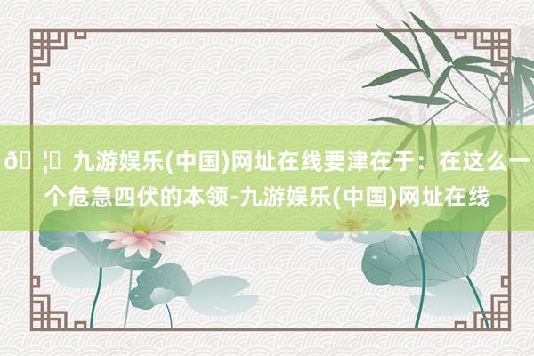 🦄九游娱乐(中国)网址在线要津在于：在这么一个危急四伏的本领-九游娱乐(中国)网址在线
